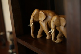 gallery-img